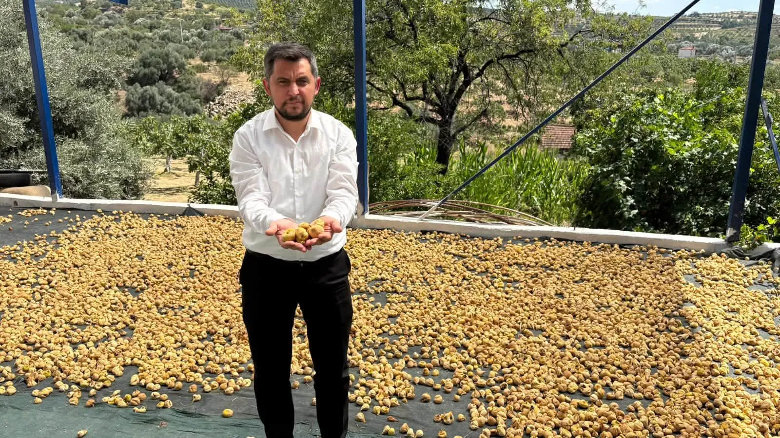 Başkan Kayaoğulları incir üreticinin sorunlarını yerinde dinledi - Fotoğraf Galerisi 1