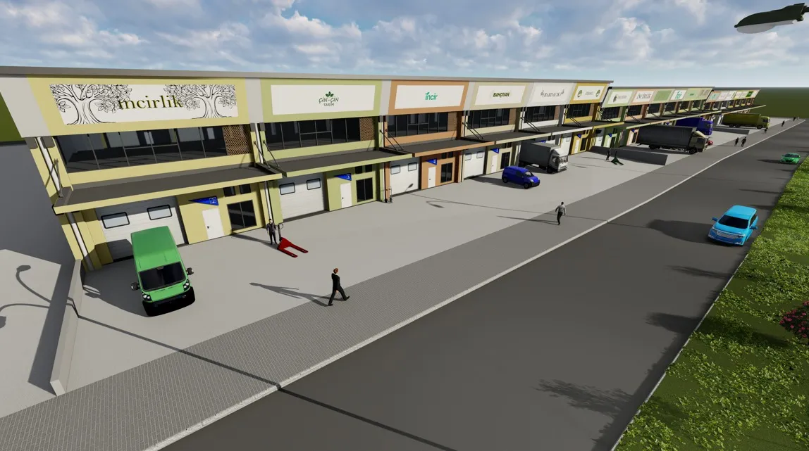 Nazilli'ye dev incir sitesi - Fotoğraf Galerisi 2