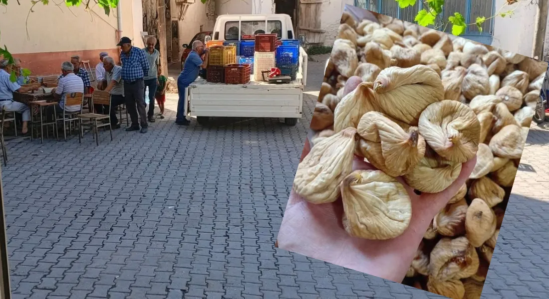 Bozdoğan'da kuru incir 400'Tl'den alıcı buldu